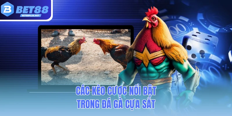 cac keo cuoc noi bat trong da ga cua sat cac keo cuoc noi bat trong da ga cua sat