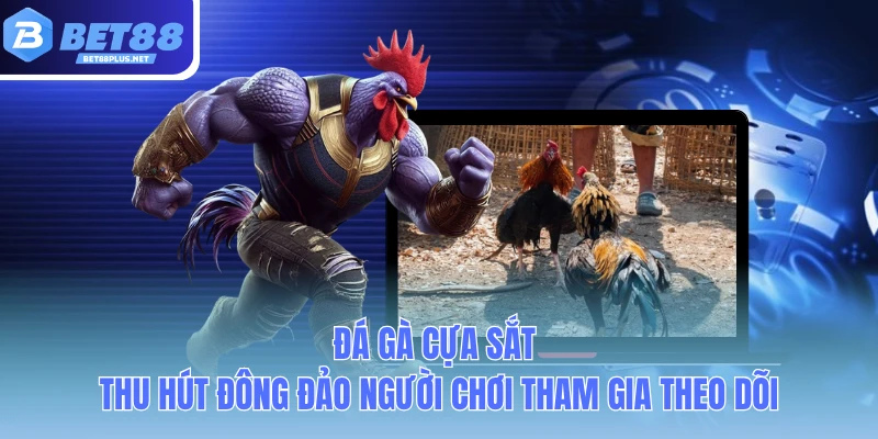 da ga cua sat thu hut dong dao nguoi choi tham gia theo doi da ga cua sat thu hut dong dao nguoi choi tham gia theo doi